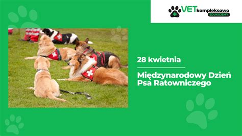 schemat metod oznaczania psa ratowniczego (meldunek, rolka)