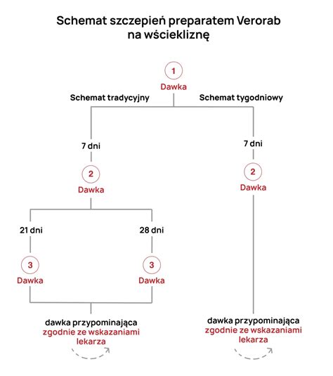 Diagram przedstawiający odpowiedź immunologiczną organizmu na szczepienie