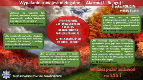 Infografika na temat zagrożeń i skutków wypalania traw