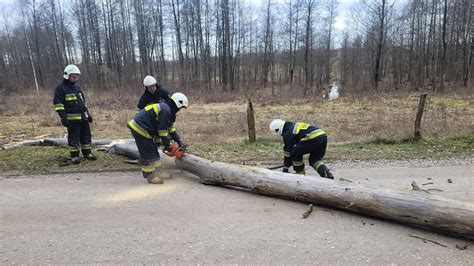 Strażacy usuwający powalone drzewo z drogi