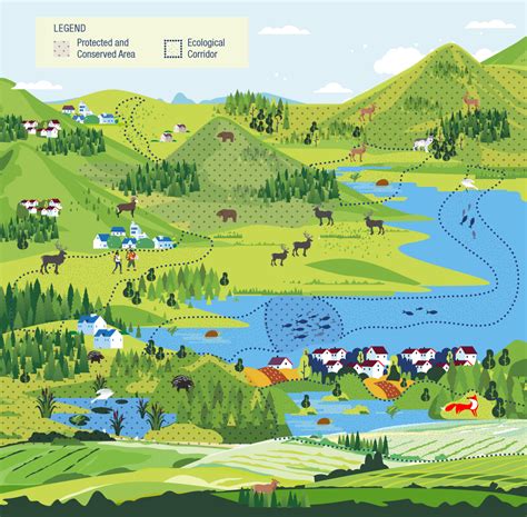 Map showing a protected landscape area functioning as an ecological corridor between two larger protected areas, illustrating migration routes