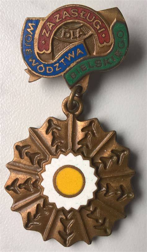 Zdjęcie strażaka odbierającego medal za zasługi