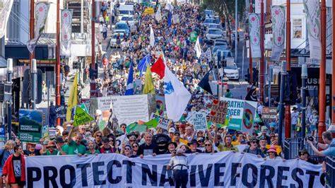 Photo of a protest against logging or urban development near a forest