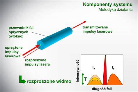 Infografika: Zasada działania rozłożonego czujnika temperatury (DTS) w systemie monitorowania liniowego