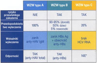 Schemat porównujący hełmy typu A i typu B z normą EN 443.