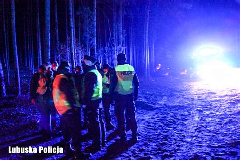 Zdjęcie strażaków i policjantów prowadzących poszukiwania w lesie przy użyciu psa tropiącego