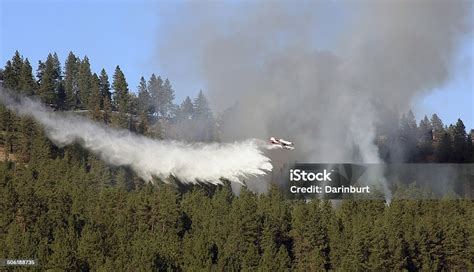 Thematic photo of a real fire plane dropping water on a forest fire