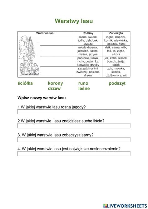 Infografika przedstawiająca warstwową budowę rękawicy strażackiej z opisami każdej warstwy