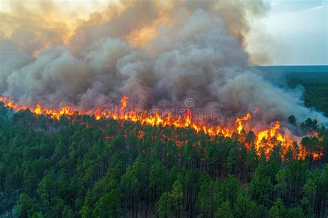 Thematic photo of a large forest fire being fought by firefighters and aerial support, smoke rising