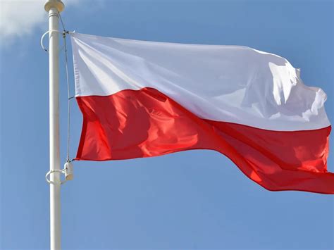 infografika: proporcje flagi polskiej 5:8, kolory biały i czerwony