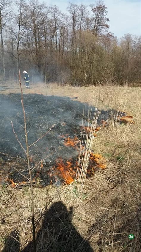 Zdjęcie płonących traw i lasu na Marszowicach