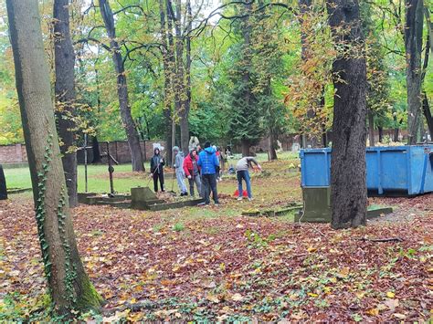 zdjęcie miejsca zdarzenia, np. podwórka przy ulicy Wrocławskiej w Świdnicy