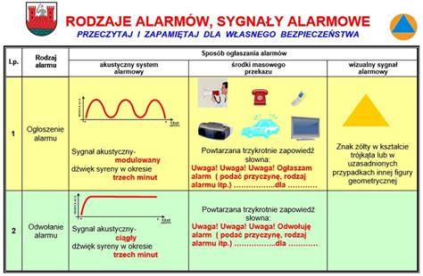 Infografika: Rodzaje fałszywych alarmów i ich statystyki
