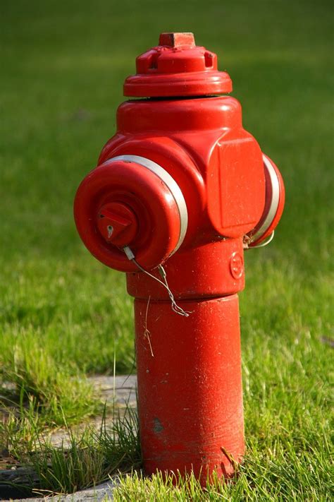 Zdjęcie techniczne hydranta arborystycznego z widocznymi pasami mocującymi