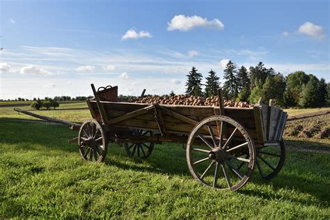 Archiwalna fotografia przedstawiająca wóz konny z ręczną pompą używany przez strażaków w okresie powojennym.