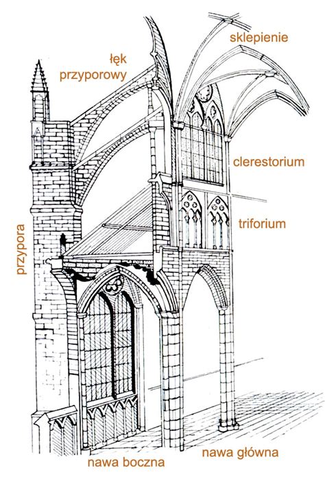 Schemat architektoniczny katedry gotyckiej z zaznaczonymi elementami konstrukcyjnymi, takimi jak łuki przyporowe i sklepienia krzyżowo-żebrowe