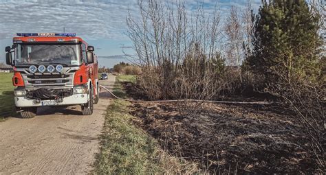 zdjęcie ugaszonego pożaru nieużytków z widocznymi strażakami