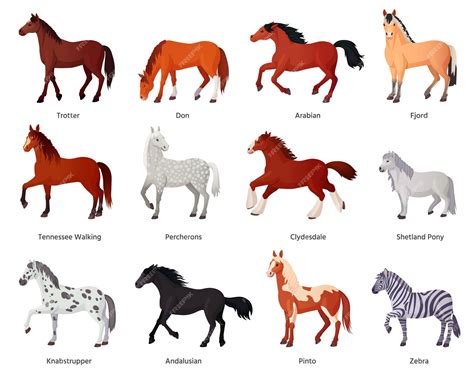 Ilustracja przedstawiająca różnorodne rasy koni w ruchu, gotowe do wypełnienia kolorami