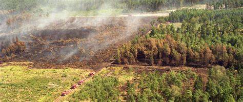 Fotografia przedstawiająca rozprzestrzeniający się pożar lasu z widoczną chmurą dymu nad Fort McMurray