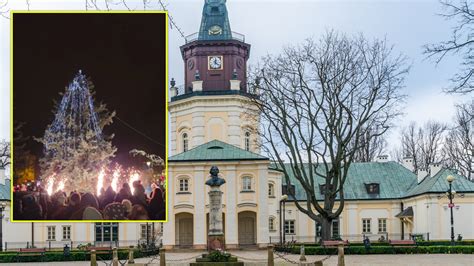Infografika z zasadami bezpieczeństwa dla świątecznej choinki