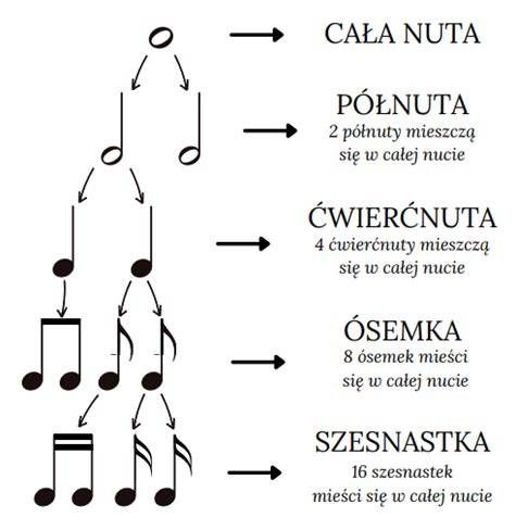 infografika przedstawiająca piramidę wartości rytmicznych: od całej nuty u szczytu, przez półnuty, ćwierćnuty, ósemki, aż po szesnastki na dole