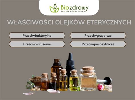 Infografika przedstawiająca skład chemiczny olejków eterycznych sosny