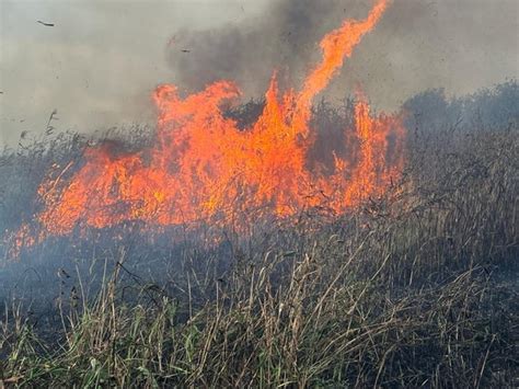 Strażacy gaszący pożar łąk i kosodrzewiny w górach Karkonoszach