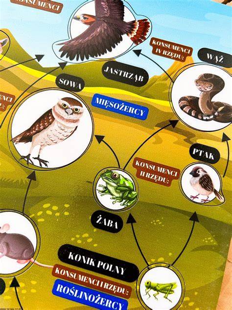 infografika przedstawiająca złożony łańcuch podwykonawców w przemyśle
