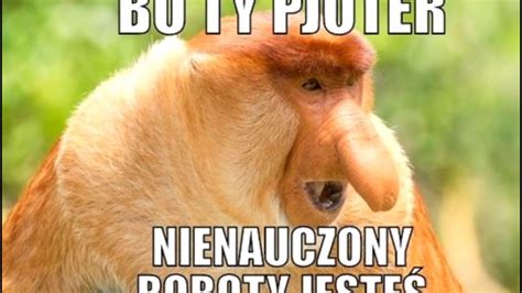 Meme z Januszem Nosaczem przedstawiający stereotypowe zachowania Polaków
