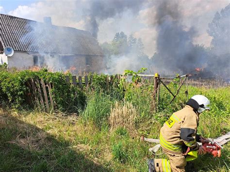 Zastępy straży pożarnej gaszące pożar traw na otwartym terenie
