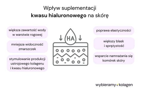 Infografika przedstawiająca strukturę skóry i działanie ceramidów oraz kwasu hialuronowego