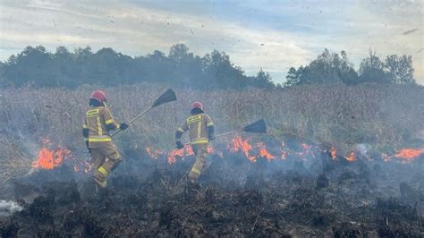 Strażacy gaszący pożar drewna na ulicy Miłej w Malborku