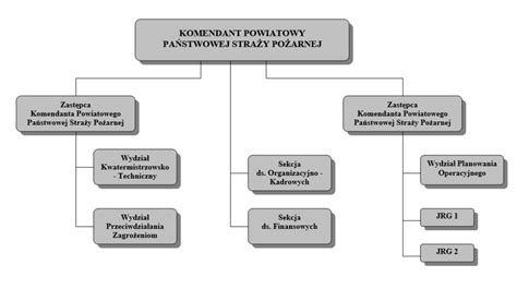 Schemat struktury SWD PSP i przepływu danych