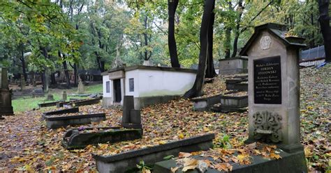 Współczesne zdjęcie zdewastowanego cmentarza ewangelickiego w Dzierżoniowie