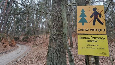 Zdjęcie tablicy informacyjnej z zakazami wstępu do lasu lub z ostrzeżeniami przeciwpożarowymi