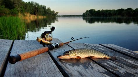 zdjęcie sprzętu wędkarskiego do łowienia karpi