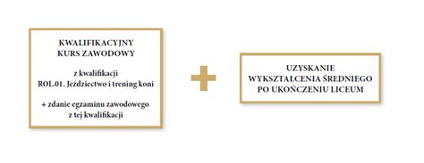 infografika przedstawiająca ścieżkę kwalifikacji do ogólnopolskich zawodów CTiF