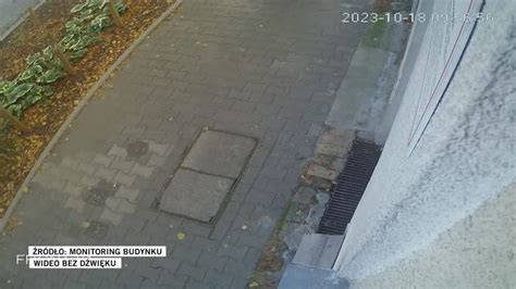 nagranie z monitoringu pokazujące mężczyznę gaszącego papierosa i rzucającego niedopałek w pobliżu wiaty śmietnikowej