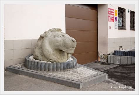 kamienna rzeźba głowy lwa w kamieniołomie