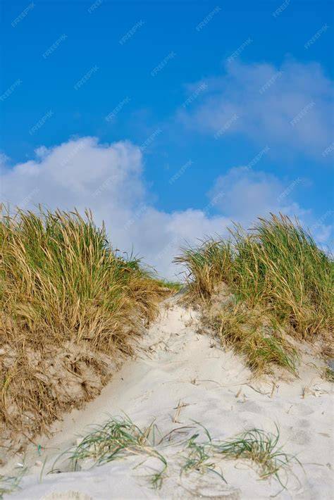 zdjęcie zniszczonych wydm lub kamienistej plaży w Wiciu