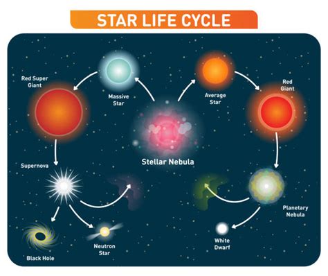 Infografika: Cykl życia gwiazdy