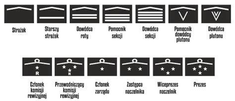 Tabela lub grafika przedstawiająca dystynkcje stopni OSP na pagonach