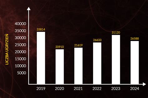 Infografika przedstawiająca statystyki podpaleń przez strażaków w Polsce (hipotetycznie).
