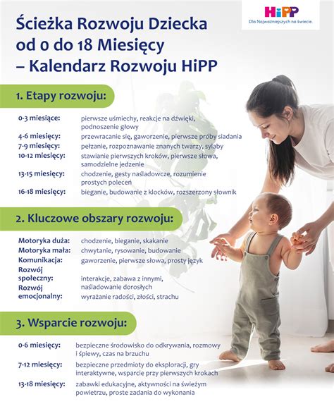 Grafika przedstawiająca schemat rozwoju dziecka z zabawkami, z naciskiem na zdolności motoryczne, społeczne, logiczne myślenie oraz kreatywność.