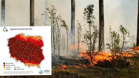 Zagrożenie pożarowe w lesie - wysuszona ściółka i szklana butelka