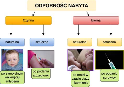 Infografika: ikony przedstawiające odporność nadruku na pranie, pękanie i blaknięcie