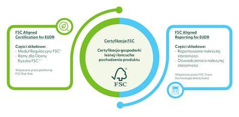 infografika certyfikatów CE, FSC, PZH dla wyrobów drewnopochodnych