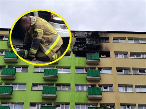 Zdjęcie strażaka reanimującego kota po pożarze z Tomic