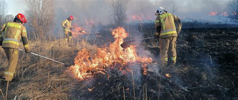 strażacy gaszą pożar traw