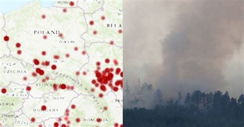 Mapa pożarów lasów w regionie Opoczna, w tym gminy Drzewica.